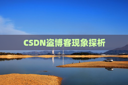 CSDN盗博客现象探析